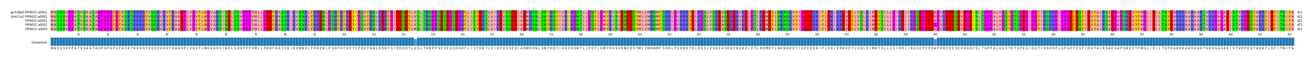 Multiple Alignments (by translate haplotype frequency)