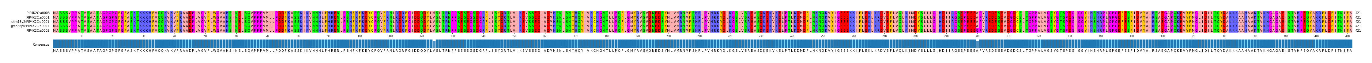 Multiple Alignments (by translate haplotype similarity)