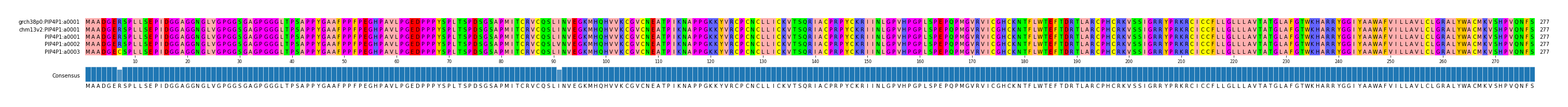 Multiple Alignments (by translate haplotype frequency)