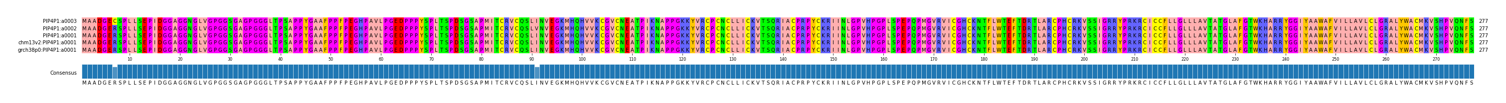 Multiple Alignments (by translate haplotype similarity)