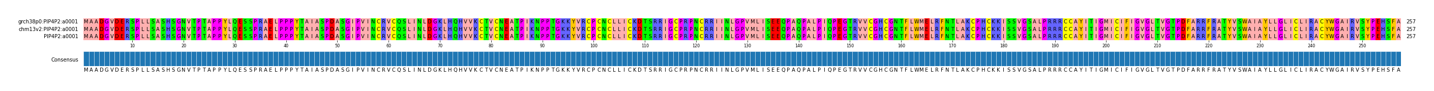 Multiple Alignments (by translate haplotype similarity)