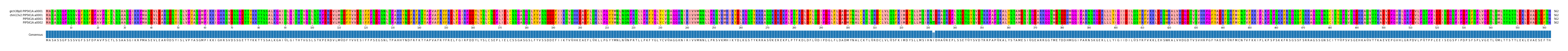 Multiple Alignments (by translate haplotype similarity)