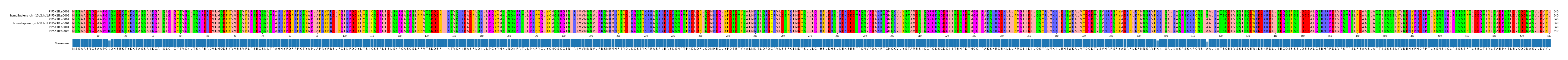 Multiple Alignments (by translate haplotype similarity)