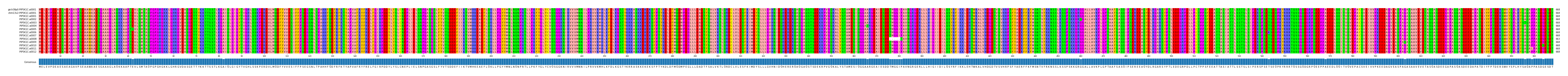 Multiple Alignments (by translate haplotype frequency)