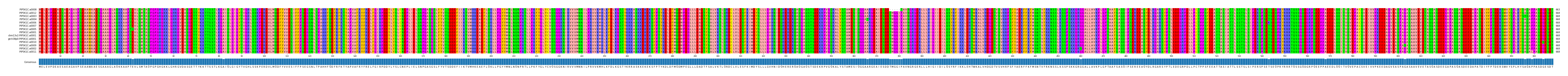 Multiple Alignments (by translate haplotype similarity)