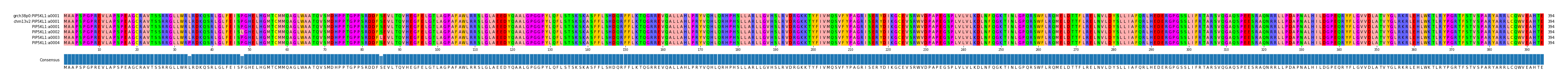 Multiple Alignments (by translate haplotype frequency)