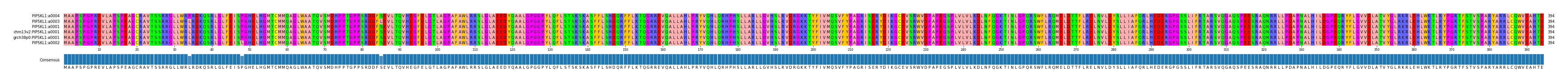 Multiple Alignments (by translate haplotype similarity)
