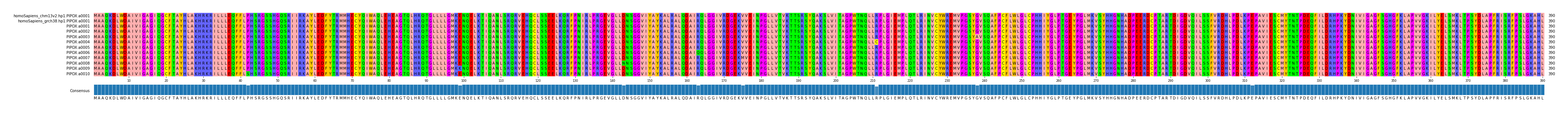 Multiple Alignments (by translate haplotype frequency)