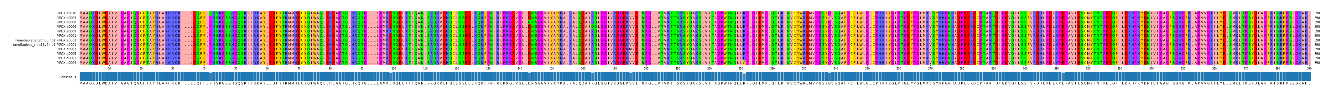 Multiple Alignments (by translate haplotype similarity)