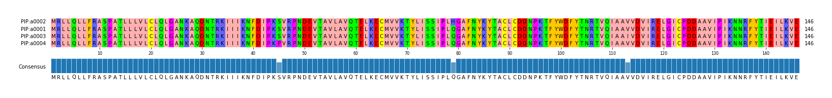 Multiple Alignments (by translate haplotype similarity)