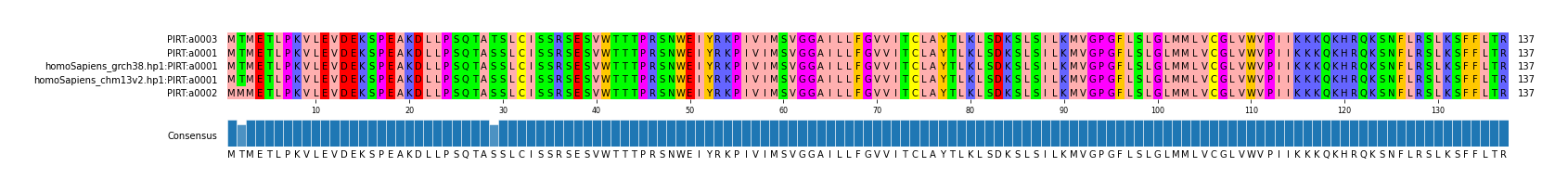 Multiple Alignments (by translate haplotype similarity)