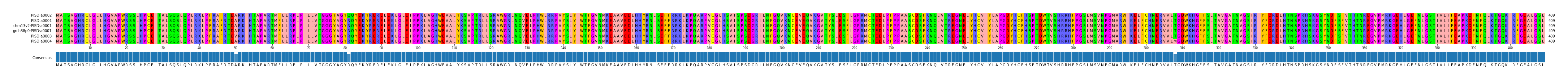 Multiple Alignments (by translate haplotype similarity)