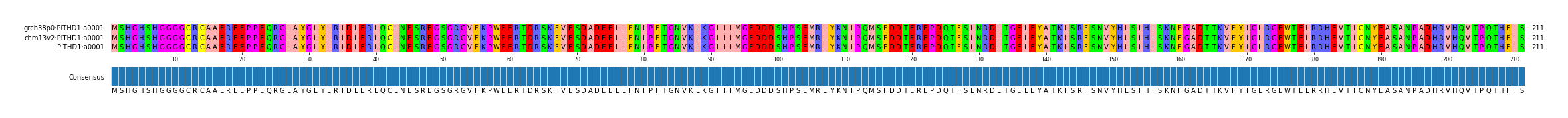 Multiple Alignments (by translate haplotype similarity)