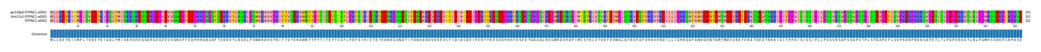 Multiple Alignments (by translate haplotype frequency)