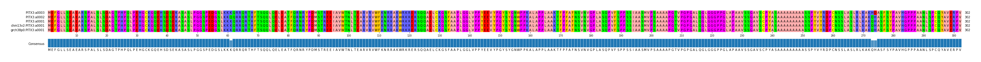 Multiple Alignments (by translate haplotype similarity)