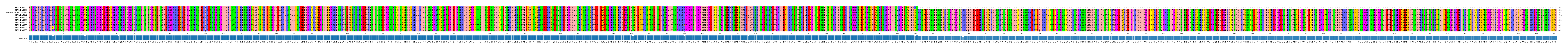 Multiple Alignments (by translate haplotype similarity)