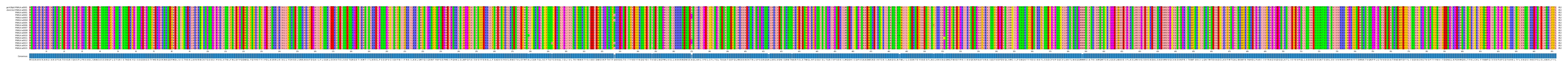 Multiple Alignments (by translate haplotype frequency)