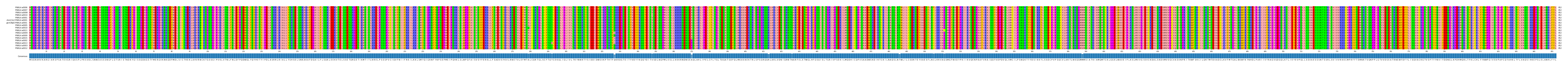Multiple Alignments (by translate haplotype similarity)