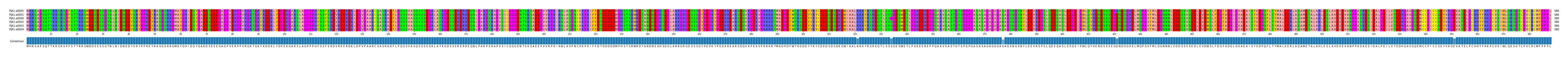 Multiple Alignments (by translate haplotype similarity)