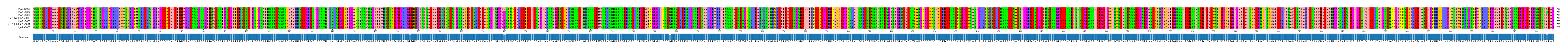 Multiple Alignments (by translate haplotype similarity)