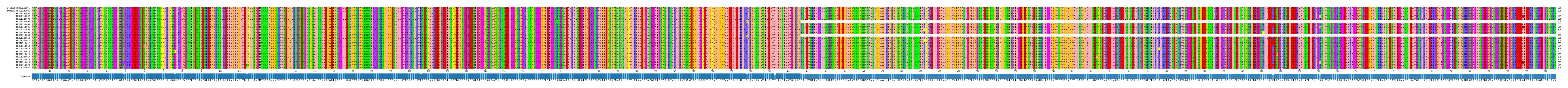 Multiple Alignments (by translate haplotype frequency)