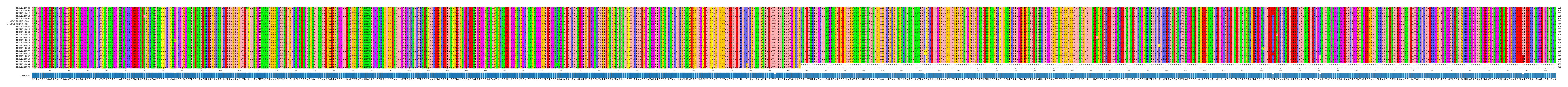 Multiple Alignments (by translate haplotype similarity)