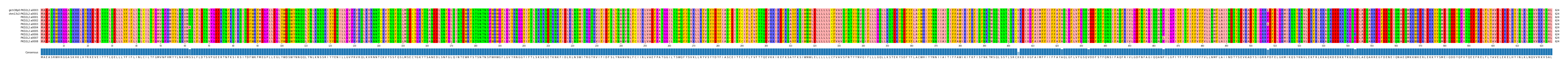 Multiple Alignments (by translate haplotype frequency)
