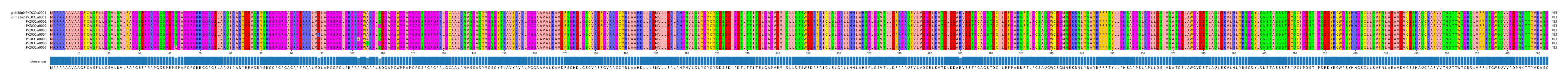 Multiple Alignments (by translate haplotype frequency)