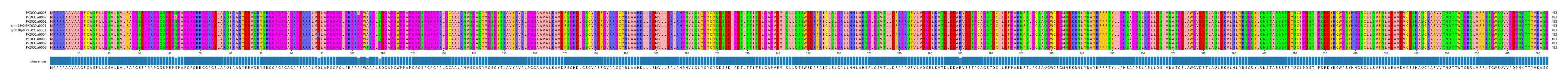 Multiple Alignments (by translate haplotype similarity)
