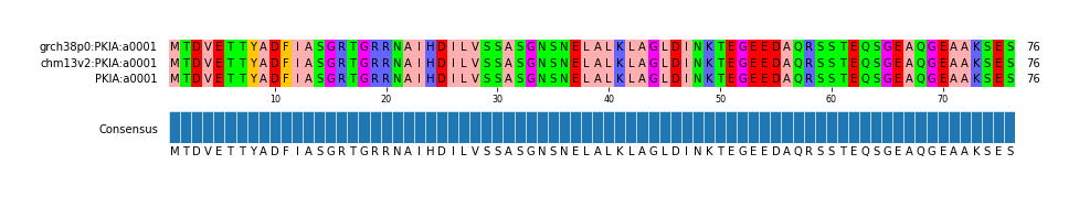 Multiple Alignments (by translate haplotype similarity)