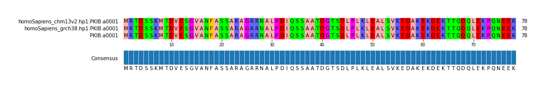 Multiple Alignments (by translate haplotype similarity)
