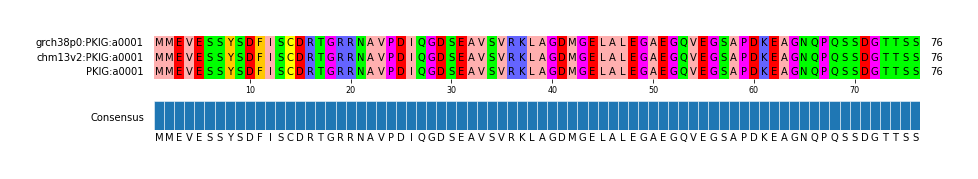 Multiple Alignments (by translate haplotype similarity)
