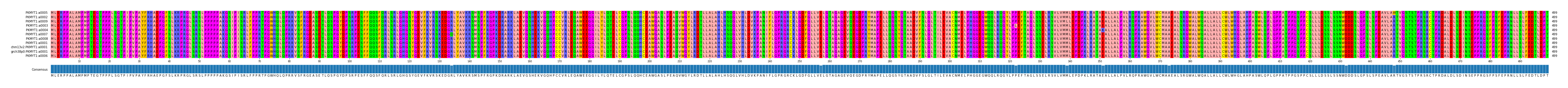 Multiple Alignments (by translate haplotype similarity)