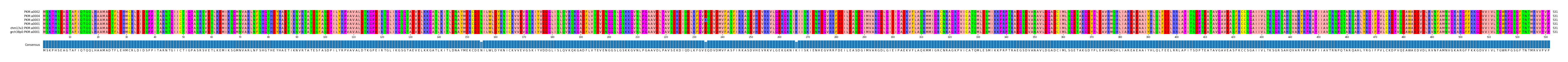 Multiple Alignments (by translate haplotype similarity)