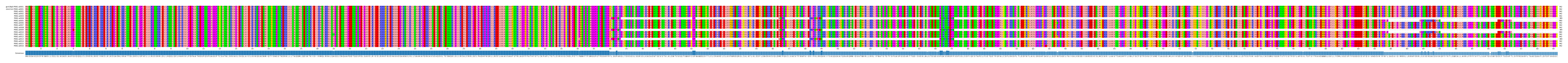 Multiple Alignments (by translate haplotype frequency)
