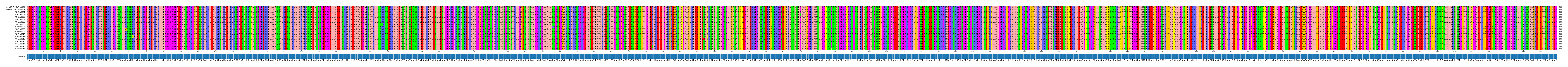Multiple Alignments (by translate haplotype frequency)