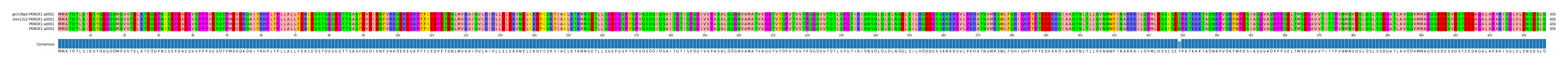 Multiple Alignments (by translate haplotype frequency)