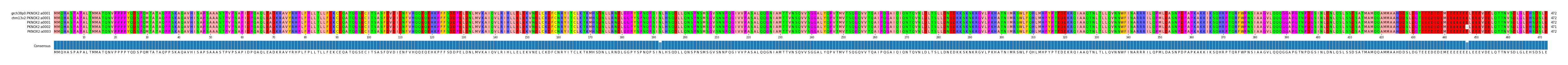 Multiple Alignments (by translate haplotype frequency)
