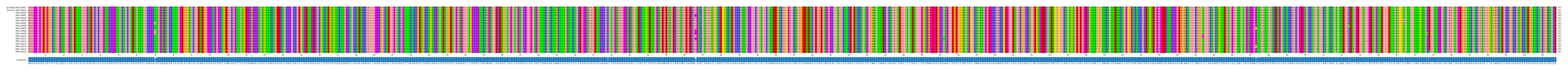 Multiple Alignments (by translate haplotype frequency)