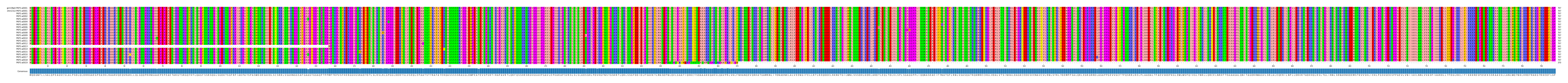 Multiple Alignments (by translate haplotype frequency)