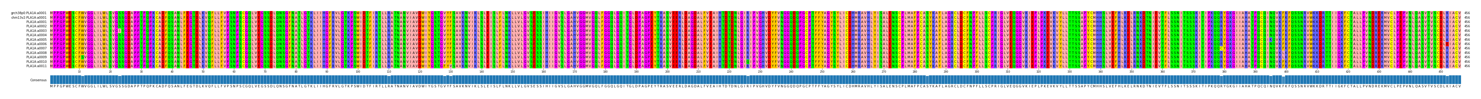 Multiple Alignments (by translate haplotype frequency)