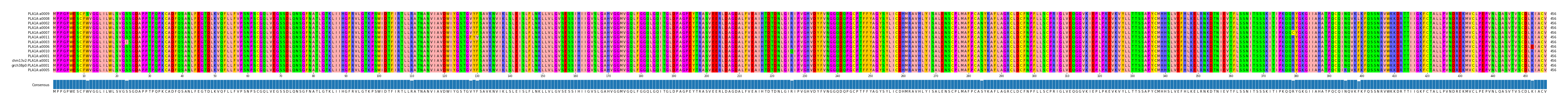 Multiple Alignments (by translate haplotype similarity)