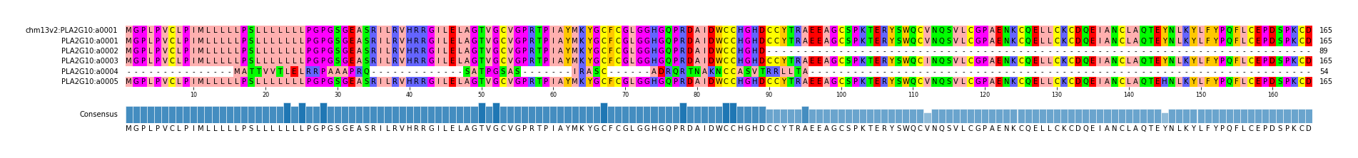 Multiple Alignments (by translate haplotype frequency)