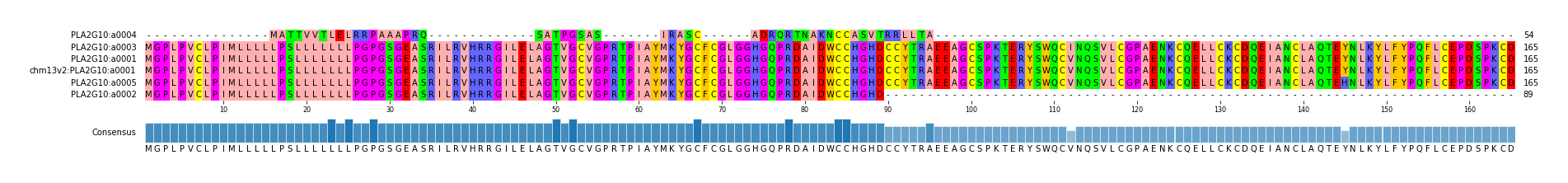 Multiple Alignments (by translate haplotype similarity)
