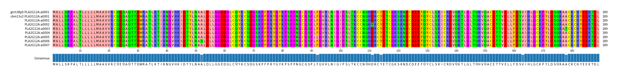 Multiple Alignments (by translate haplotype frequency)