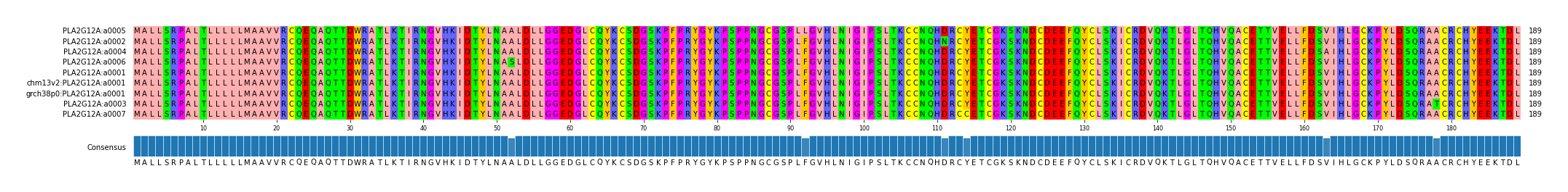 Multiple Alignments (by translate haplotype similarity)