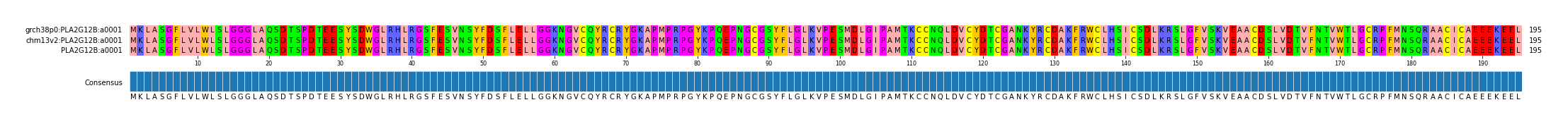 Multiple Alignments (by translate haplotype similarity)