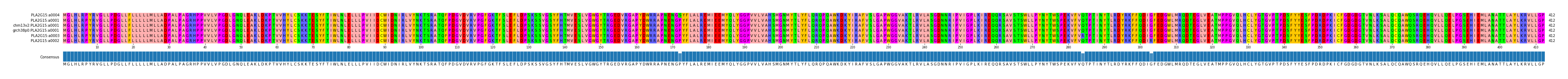 Multiple Alignments (by translate haplotype similarity)