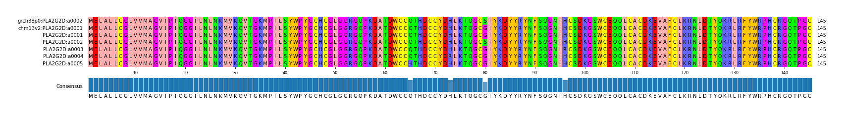 Multiple Alignments (by translate haplotype frequency)