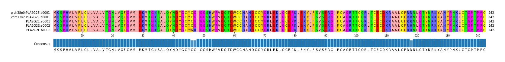 Multiple Alignments (by translate haplotype frequency)